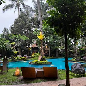 Green Bird Villa - Chse Certified